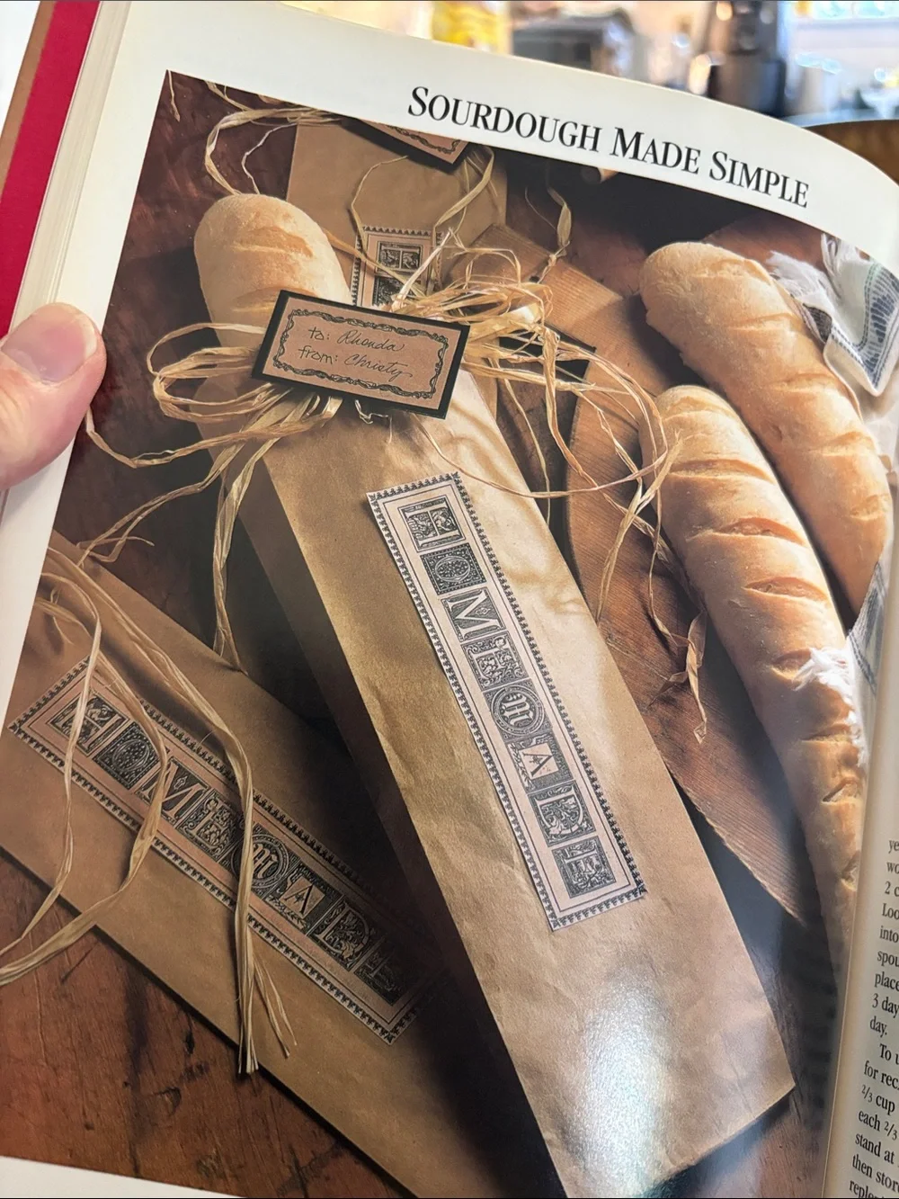 It'sInTheBag!TastyGiftsinCraftySacks-DecorativeGiftBagCraftBook